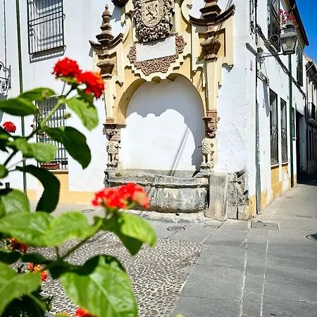 Junto Al Palacio De Viana Apartment Cordoba